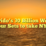 Davido’s 30 Billion World Tour Sets to take NYC!
