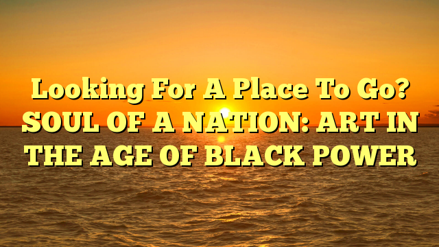 Looking For A Place To Go?  SOUL OF A NATION: ART IN THE AGE OF BLACK POWER