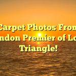 Red Carpet Photos From The London Premier of Love Triangle!