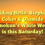 Wedding Bells: Stephanie Coker & Olumide Aderinokun’s White Wedding is this Saturday!