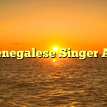 Senegalese Singer AK