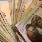 https___cdn.cnn.com_cnnnext_dam_assets_161205191212-nigerian-currency